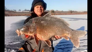 Ну и клюнуло! Удочка трещит, леска рипит, сосед матерится! Зимняя рыбалка на карпа со льда!