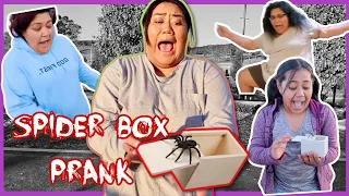 HILARIOUS SPIDER IN A BOX PRANK | SCARE CAM!