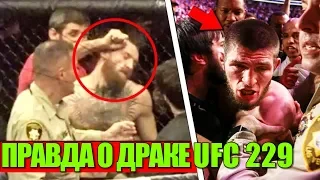 ПРАВДА О ДРАКЕ ПОСЛЕ БОЯ ХАБИБ - КОНОР НА UFC 229