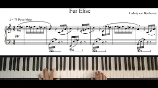 Beethoven : Fur elise, bagatelle in A minor, WoO 59, piano score, tutorial.