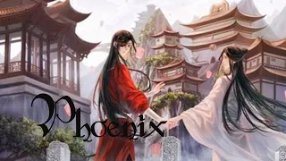 Phoenix[]AMV/DMV{} TGCF