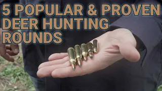 5 Popular and Proven Deer Hunting Calibers