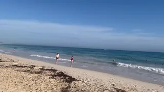 Доминикана, обзор пляжа iberosrar (все бегом)