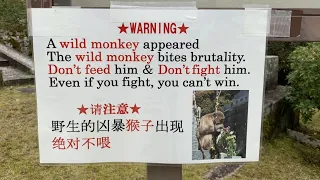 The Ironic Anxiety of Badly Translated Safety Warnings