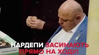 "Слуга народу" Стефанчук заснув у Раді, а "Юзік" розбудив його