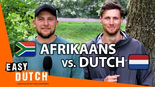 Afrikaans vs. Dutch | Easy Dutch Special 4