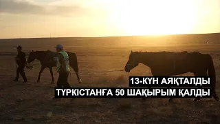 Жетісу мен Ақтөбе бәсекесі. Асықпай арбамен қоянға жеткен Абай облысы. 13-күн аяқталды