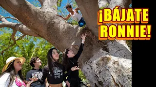 E11 RONNIE SE SUBE A UN ARBOL PARA SALVARSE DE NATALIA Y LEGNA | TV Ana Emilia