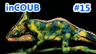 Лучшие приколы март 2018 Best Cube in Coub Кубы #15