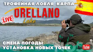 Трофейная рыбалка на озере Орельяно, вторая экспедиция, выпуск 4