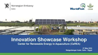 Innovation showcase hybrid workshop for CeREA project