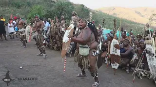 UMHLABA UHLANGENE AMABUTHO: INKUNZI ISEMATHOLENI: #AMABUTHO #ZULU #IJADU