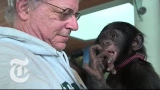 Animals Are Persons Too | Op-Docs | The New York Times