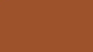 Screensaver solid color Sienna 1 hour long