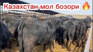 КАЗАХСТОН МОЛ БОЗОРИ НАРХЛАРИ 🤝👍