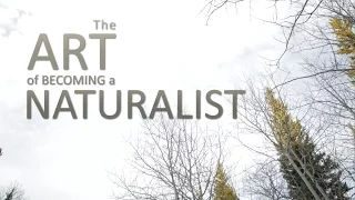 The Art of Becoming a Naturalist