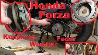 Honda Forza Kupplung , Wandler , Feder , Glocke ausbauen