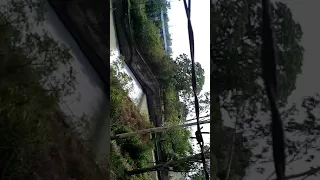 Forest and parking water https://youtu.be/VUdIALkWxwo