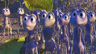 A Bugs Life Without Context