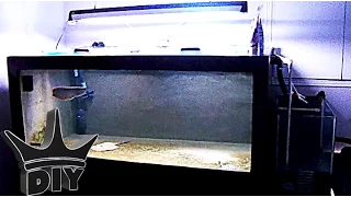 My 240 gallon aquarium - PLYWOOD tank tour