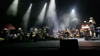 Pomme - Nuits de Fourvière 2023 - Nelly (orchestre)