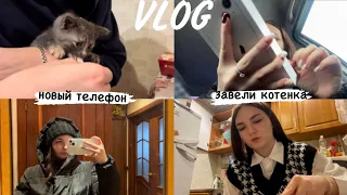 ВЛОГ     Купила новый телефон | Завели котенка