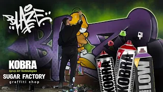 Homer Blaze 🍺 RAW cut GRAFFITI video