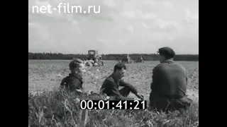 1965г. совхоз Гомонтово Ленинградская обл.