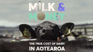 Coming soon: Milk and Money, our investigation into the dairy industry