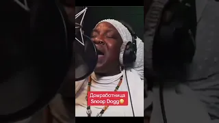 Snoop dog домработница #cover #snoopdogg #domrabotnitsa