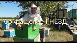 Сокращаю гнезда.