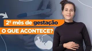 COMO É O SEGUNDO MÊS DE GESTAÇÃO? Tudo o que você precisa saber sobre essa fase por Dra Ana Jannuzzi