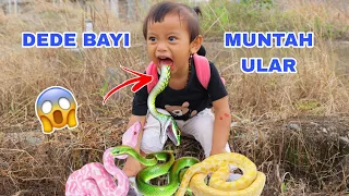 GAWAT DEDE BAYI MUNTAH ULAR | CHIKAKU FAMILY