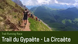 Trail Race - Trail du Gypaete - La Circaete (2023)