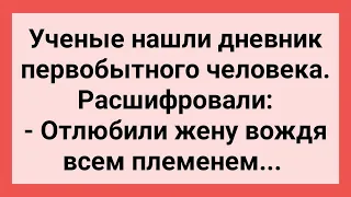 Ученые Нашли Дневник Первобытного Человека! Сборник Свежих Смешных Жизненных Анекдотов!