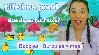Learning to Talk with Ms. Alejandra Learning songs for babies and toddlers in English and Spanish