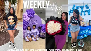 WEEKLY VLOG | LAS VEGAS BIRTHDAY TRIP + SIP & SLAY SURPRISE + PUPPY UPDATE + BENJI 1ST PAWTY & MORE