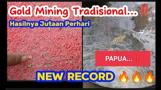 SPEKTAKULER ‼️ FINDING $1000 Worth of Gold Every Day || Tradisional Gold Partner