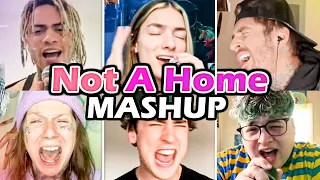 Not A Home / Too Many Nights Mashup | Pardyalone Open Verse TIKTOK Challenge | Unzipped Compilation