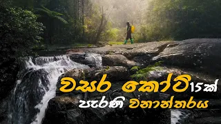 The Rainforest Ecolodge - Sinharaja Deniyaya මීදුමෙන් පිරුණ වැසි වනාන්තරයේ  පිහිටි අපූරු නවාතැන්පල