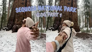 Our trip to Sequoia National Park || California || Part 1