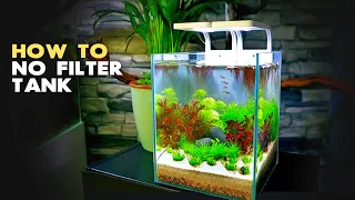 Aquascape Tutorial: 3 gal Nano Aquarium w/ Chili Rasbora (How To: Step By Step No Filter Guide)