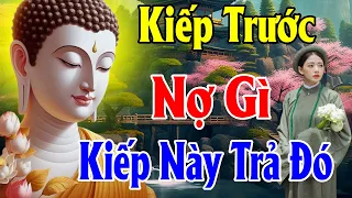 Kiếp Trước Nợ Gì Kiếp Này Trả Đó Phật Dạy Nhân Quả Báo Ứng Không Trừ Một Ai - Thiện Duyên Phật Pháp