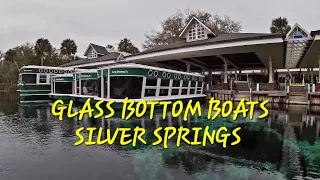 Glass Bottom Boat Tour || Silver Springs Ocala Florida