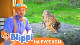 Блиппи идёт в зоопарк | Блиппи на русском