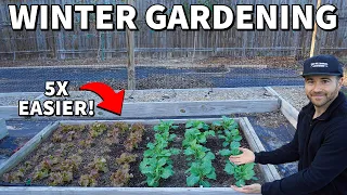 5 Reasons Why Winter Gardening Is BETTER Than Summer Gardening!