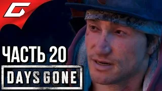 DAYS GONE (Жизнь После) ➤ Прохождение #20 ➤ СРЕДИ ДРУЗЕЙ