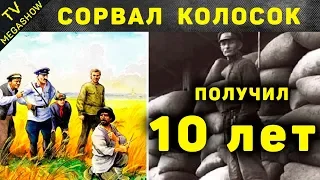 Самые абсурдные законы СССР, которые реально были