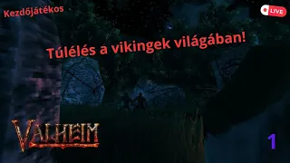 Valheim 1.rész -  Túlélés a vikingek világában! - Kezdő-Live