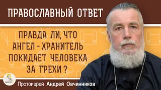 ПРАВДА ЛИ, ЧТО ЗА ГРЕХИ АНГЕЛ-ХРАНИТЕЛЬ ПОКИДАЕТ ЧЕЛОВЕКА?  Протоиерей Андрей Овчинников